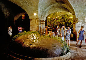Rocher suintant et Lame Végétale, Albi