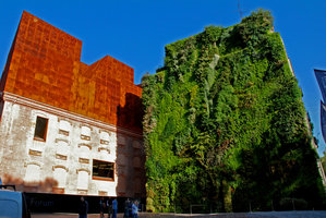 Caixa Forum Vertical garden by Patrick Blanc, Madrid, Sept. 2008