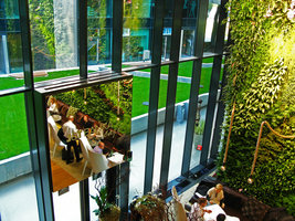 J et T Banka Café, miroirs, reflets et réel, octobre 2010