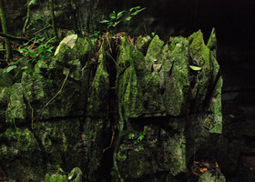 Aiguilles karstiques recouvertes d&#039;algues et de mousses, Bau, Sarawak