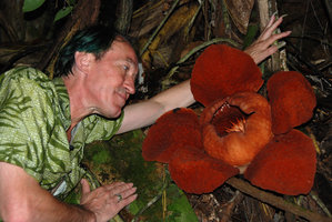 Patrick Blanc et Rafflesia tuan-mudae, Gunung Gading, Sarawak, Bornéo, 19 juillet 2010