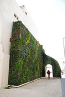Muharraq Green Gate, two months after installation, Bahrain, Feb 2012