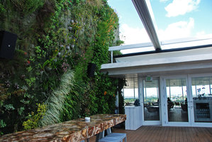 Juvia Restaurant, Miami, just after the plant installation, March 2012