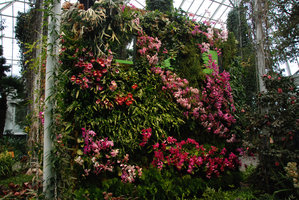 New York Botanical Garden, Orchid Show by Patrick Blanc, the Pink Wall