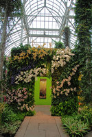 New York Botanical Garden, Orchid Show by Patrick Blanc, Phalaenopsis Gate of the Orchid Gazebo