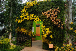 New York Botanical Garden, Orchid Show by Patrick Blanc, the Yellow Wall of the Orchid Gazebo