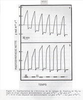 Thèse Jean-Luc Le Gouallec