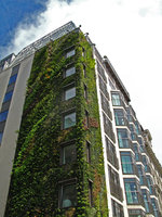 Athenaeum Hotel London, septembre 2009