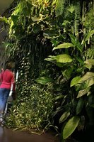 Fondation Nicolas Hulot, Boulogne-Billancourt