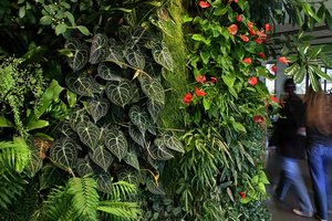 Fondation Nicolas Hulot, Boulogne-Billancourt