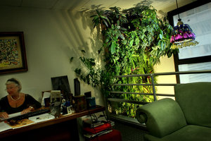 Cabinet Delannoy, Nexus, Paris