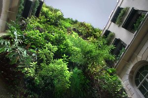 Hotel Pershing Hall, Vertical Garden by Patrick Blanc, Paris