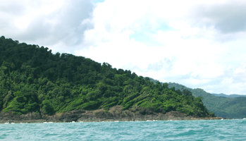 Anémomorphoses sur rochers en mer - Est Thailande