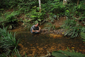 Patrick Blanc acroupi dans biotope à Cryptocoryne nurii, Johore, Malaisie, Octobre 2010