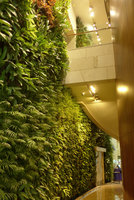 360 Mall, Kuwait, Vertical Gardens by Patrick Blanc, corridor