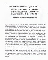 Radeau des Cimes, Guyane 1989