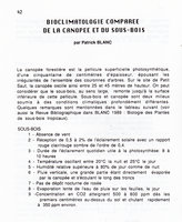 Radeau des Cimes, Guyane 1989