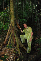 Patrick Blanc et racines échasses d&#039;un Pandanus, Thailande, Août 2011