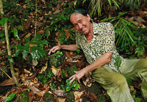 Patrick Blanc et petits rochers à Begonia blancii, Palawan, Philippines