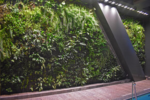 53W53 Vertical Garden by Patrick Blanc, New York