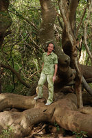 Patrick Blanc sur base Brabejum stellatifolium, Le Cap, Sept 2010