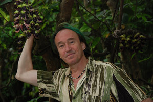 Patrick Blanc handing Mucuna macrocarpa inflorescence, Okinawa, Japan, April 2012