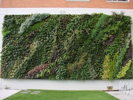 Tacoma Goodwill, Nov 2009