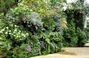 Mur Végétal à Chaumont-sur-Loire, 1994