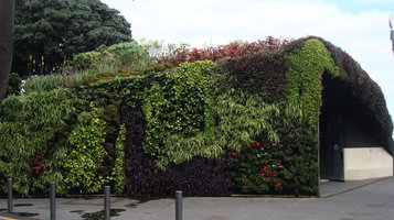 Plaza Espagna, Santa Cruz de Tenerife, Novembre 2010