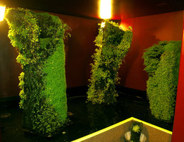 Baie d&#039;Along, exposition Folies Végétales par Patrick Blanc, Espace EDF Electra,Paris