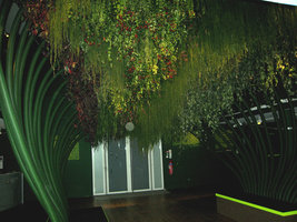 Plafond Végétal at the Folies Vegetales exhibition by Patrick Blanc, Espace EDF Electra, Paris