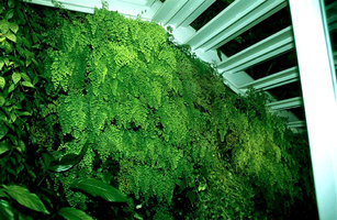 Marithé + François Girbaud, Paris