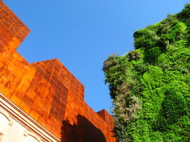Caixa Forum, sommet Mur et Musée, Septembre 2008, Mur Végétal par Patrick Blanc