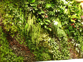 Omote Sando Gyre, Tokyo