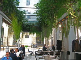 Café Trussardi, hanging garden by Patrick Blanc, Milano