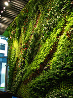 Café Banka, Bratislava