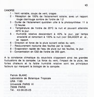 Radeau des Cimes, Guyane 1989