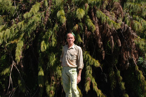 Patrick Blanc dans cascade à Elegia capensis, Cederberg, Afrique du Sud, septembre 2010