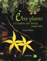 Etre plante à l&#039;ombre des forêts tropicales