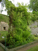 Citadelle de Doullens,13 ans après installation, mai 2010