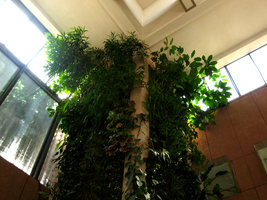 Ambassade de France , New Delhi, Sommet Colonne