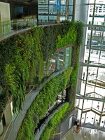 Siam Paragon, Août 2009