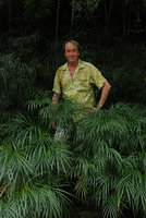 Patrick Blanc on the banks of the Temburong river, among the clustering rheophytic Palm Pinanga tenella, Brunei, Borneo, March 2012