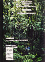 Soutenance Thèse de Doctorat d’Etat ès Sciences, Université P. M. Curie, Paris, 1989