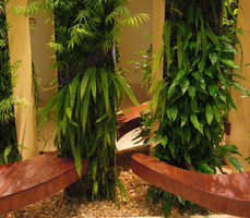 Adiantum and Spathiphyllum on the Vertical Garden, Sofitel Palm Jumeirah, Dubai