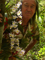 A gift from Nature for Patrick Blanc&#039;s birthday, Dendrobium devonianum in full bloom, Phu Rua NP, Thailand, 3rd June 2016