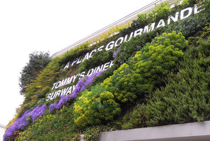 Alpha Park Vertical Garden, Campanula, Euphorbia and Rosmarinus, April 2014, Clayes sous Bois, France