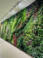 An indoor vertical garden, C Future City, Shenzhen