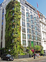 Athenaeum Hotel Vertical Garden, London, August 2012