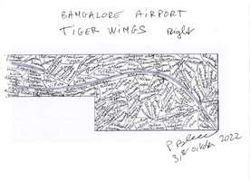 Bangalore Airport, Tiger Wings, Right by Patrick Blanc